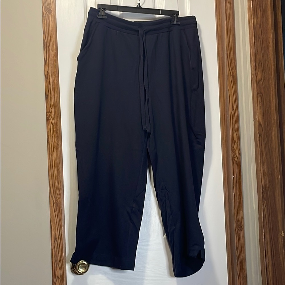 Daily Ritual Blue Cropped Ankle Pants Relaxed Fit XL EUC